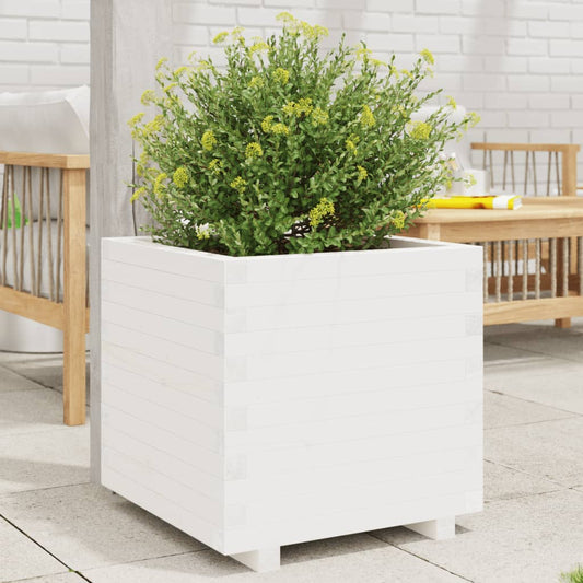 Fioriera Da Giardino Bianca 60X60X49,5Cm Legno Massello Di Pino Douglas Naturale