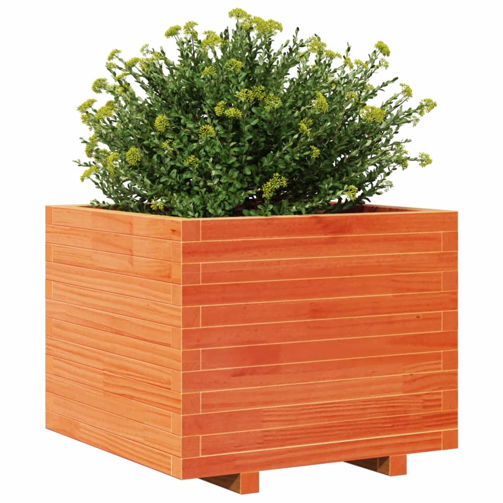 Fioriera Giardino Marrone Cera 60X60X49,5Cm Legno Massello Pino Pino Naturale