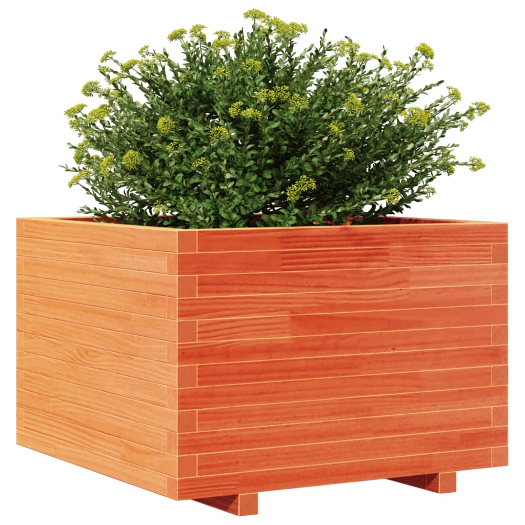 Fioriera Giardino Marrone Cera 70X70X49,5Cm Legno Massello Pino Douglas Naturale