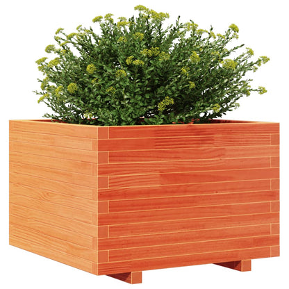 Fioriera Giardino Marrone Cera 70X70X49,5Cm Legno Massello Pino Douglas Naturale