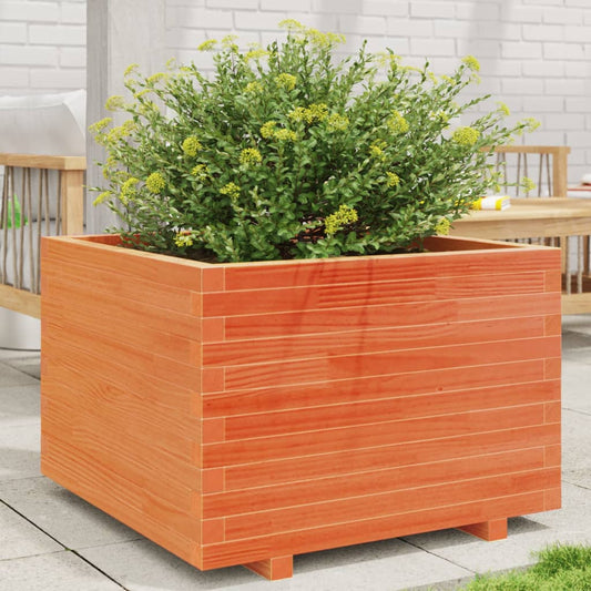 Fioriera Giardino Marrone Cera 70X70X49,5Cm Legno Massello Pino Douglas Naturale