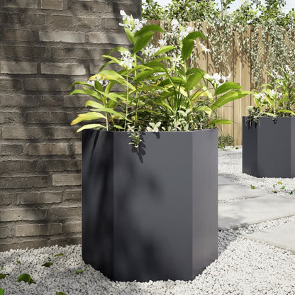 Fioriere Da Giardino 2 Pz Antracite Esagono Acciaio
