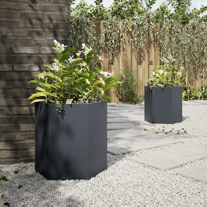Fioriere Da Giardino 2 Pz Antracite Esagono Acciaio