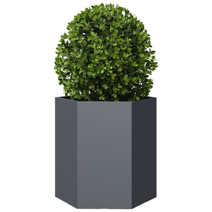 Fioriere Da Giardino 2 Pz Antracite Esagono Acciaio