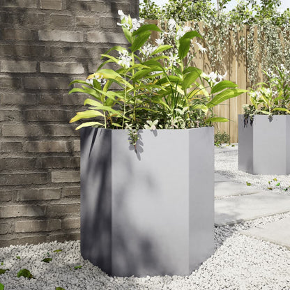 Fioriere Da Giardino 2 Pz Antracite Esagono Acciaio