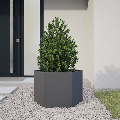 Fioriere Da Giardino 2 Pz Antracite Esagono Acciaio