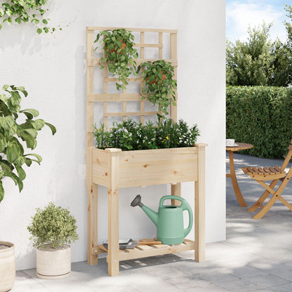 Fioriera Da Giardino Con Trellis E Ripiano 71X37X152 Cm In Legno Massello Di Abete
