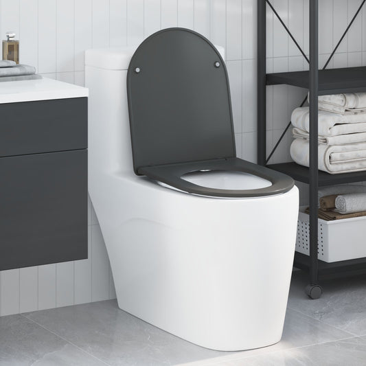 Sedile Del Wc Con Chiusura Morbida In Duroplast Antracite Di