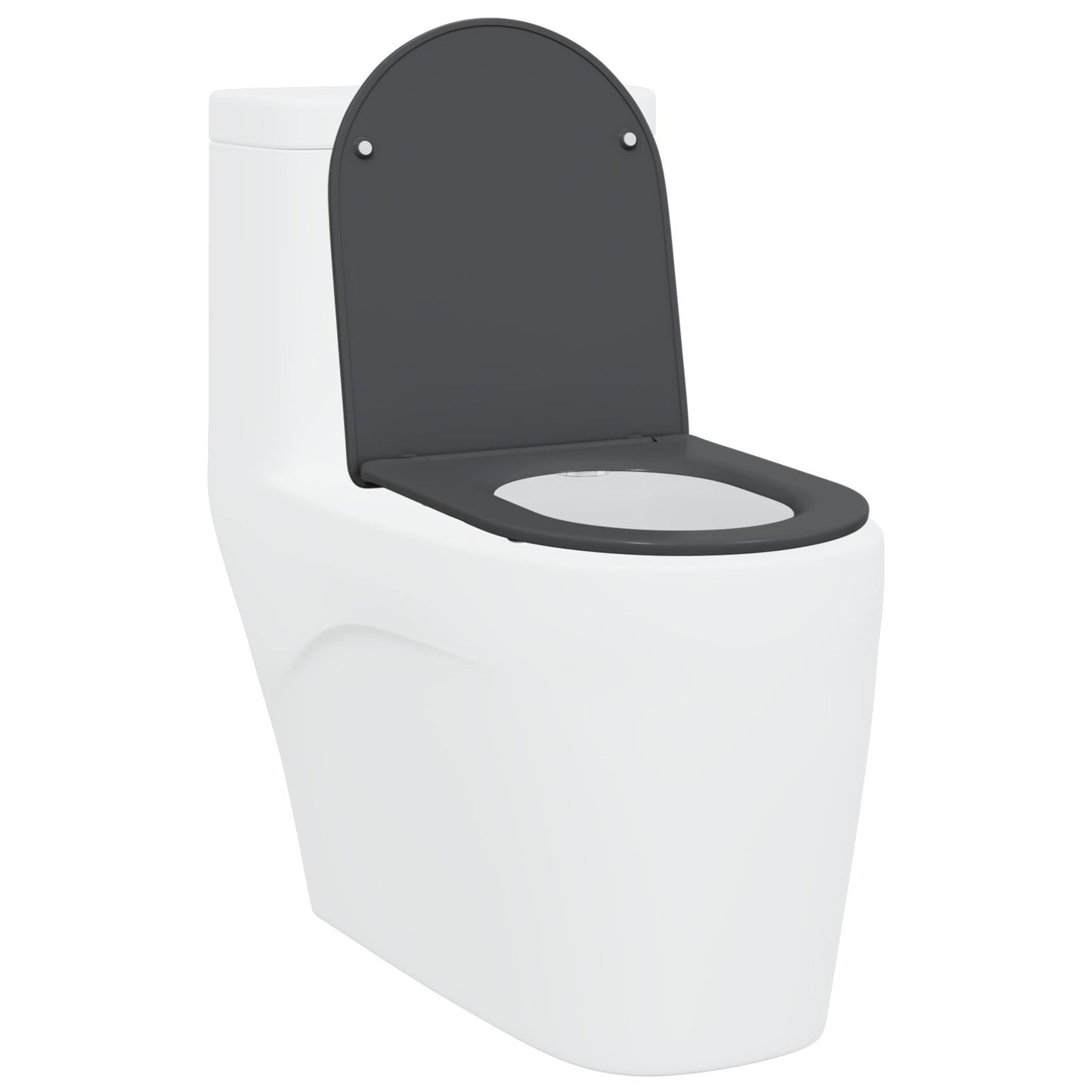 Sedile Del Wc Con Chiusura Morbida In Duroplast Antracite Di