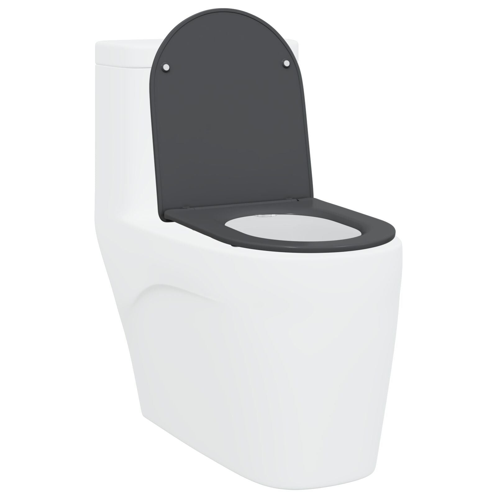 Sedile Del Wc Con Chiusura Morbida In Duroplast Antracite Di