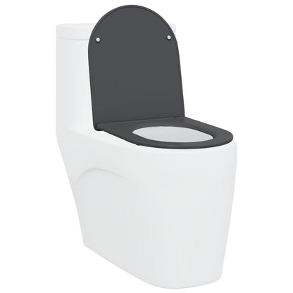 Sedile Del Wc Con Chiusura Morbida In Duroplast Antracite Di