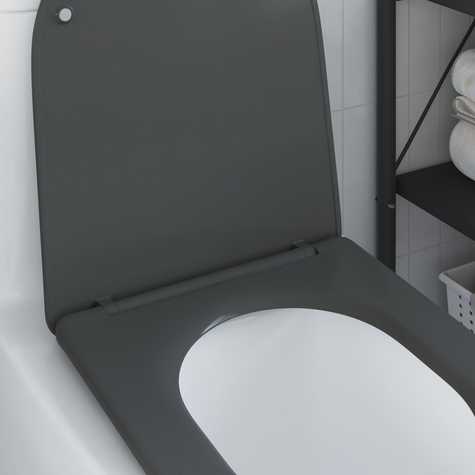 Sedile Del Wc Con Chiusura Morbida In Duroplast Antracite Di