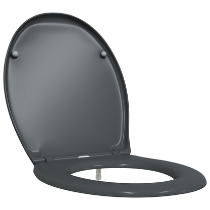 Sedile Del Wc A Rilascio Rapido Con Chiusura Morbida Duroplast