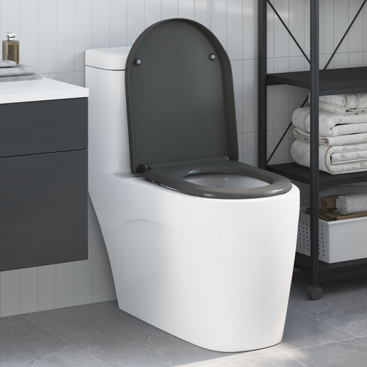 Toilette A Rilascio Rapido Con Chiusura Morbida In Duroplast