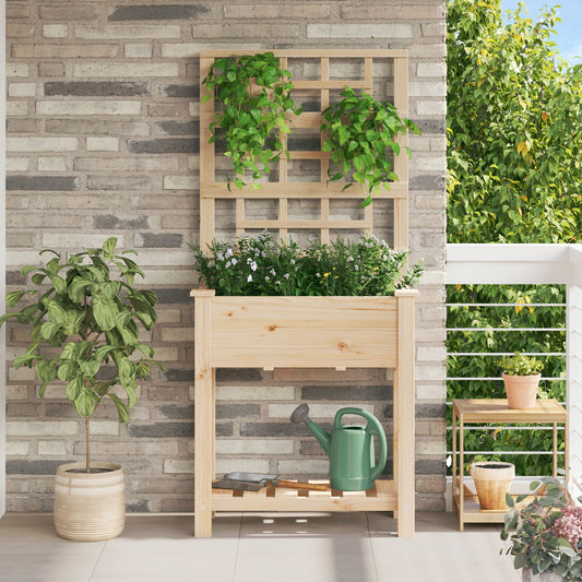 Fioriera Da Giardino Con Trellis E Ripiano 71X37X152 Cm In Legno Massello Di Abete