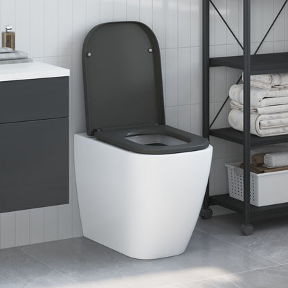 Sedile Del Wc A Rilascio Rapido Con Chiusura Morbida In Duroplast