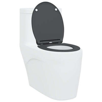Toilette A Rilascio Rapido  Con Chiusura Morbida In Duroplast