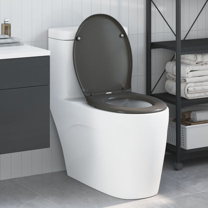 Sedile Del Wc A Rilascio Rapido Con Chiusura Morbida Duroplast